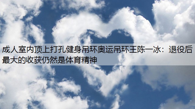 成人室内顶上打孔健身吊环奥运吊环王陈一冰：退役后最大的收获仍然是体育精神