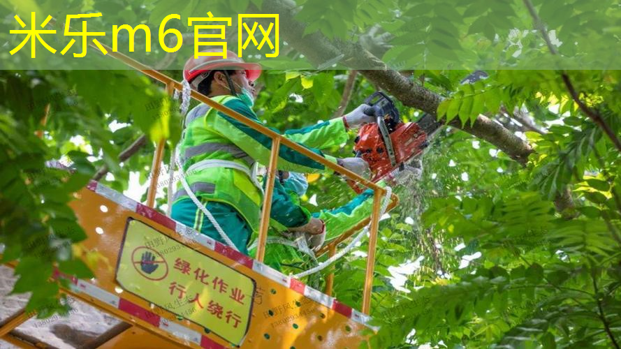 米乐m6官网登录入口：运动背包斜挎网球拍怎么用