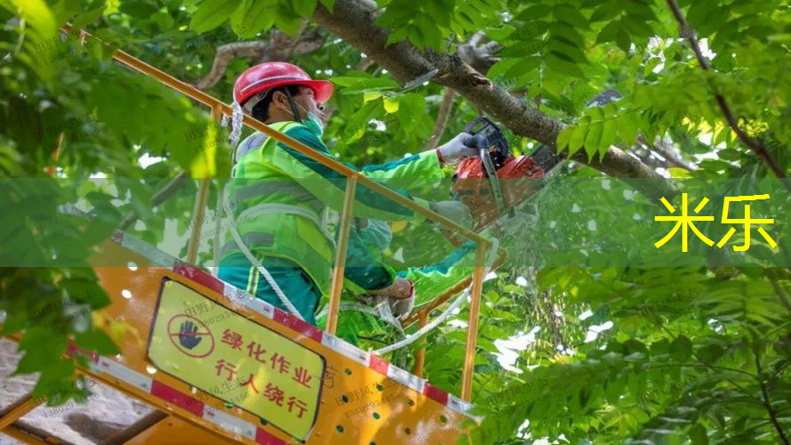 mile·米乐m6：网球拍子是什么样子