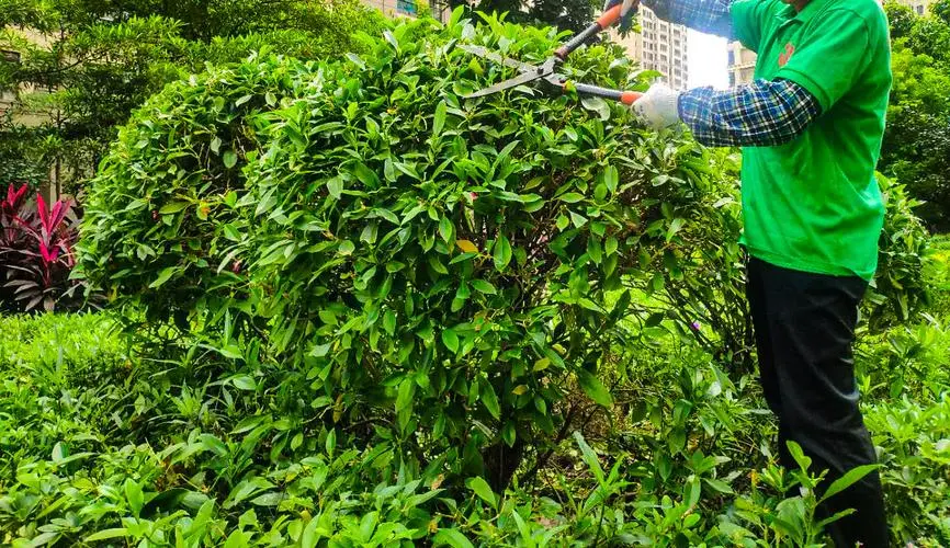 米乐m6官网：网球拍手胶没有背胶吗_