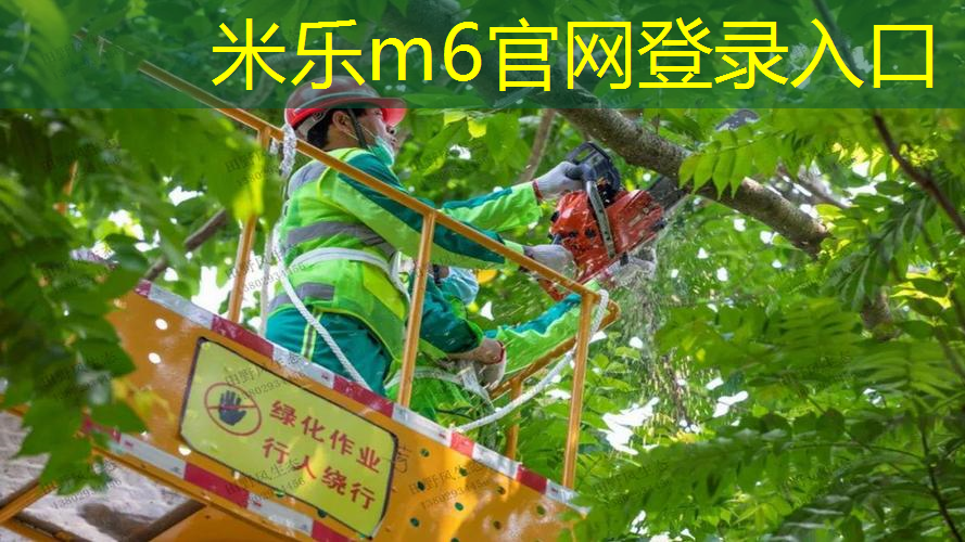 mile米乐m6官网：网球拍的长宽分别是多少