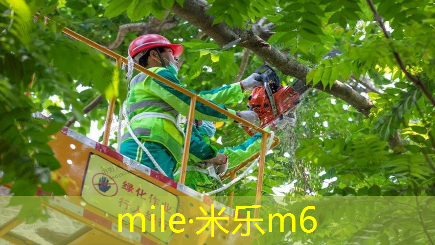 莎拉波娃网球拍老款