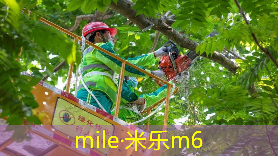 刺激疯狂！冰淇淋户外滑梯儿童带你挑战极速刺激