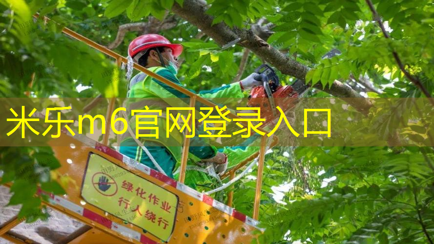 米乐m6官网：纵享篮球乐趣！选择篮球架顶棚，无需等待好天气