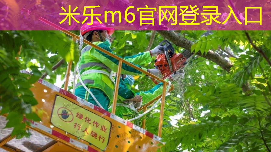 mile·米乐m6：桂平市乒乓球台附近
