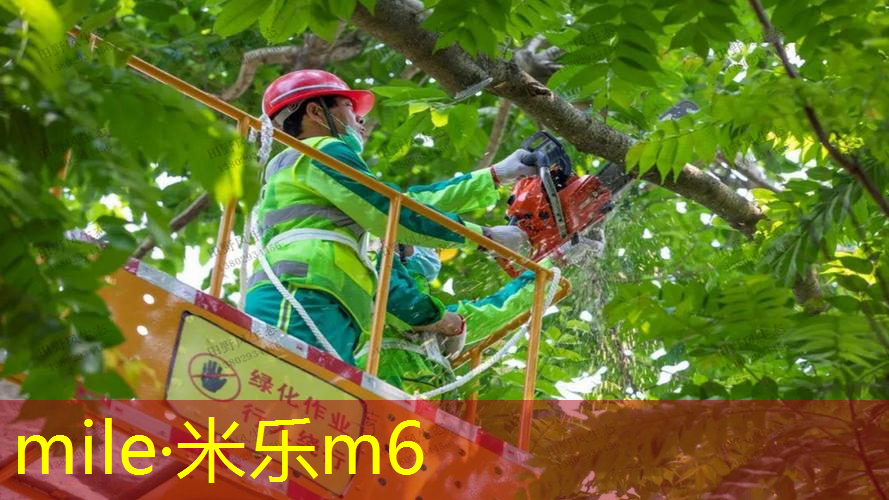 米乐m6官网：室内蜗牛健身