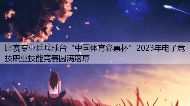 比赛专业乒乓球台“中国体育彩票杯”2023年电子竞技职业技能竞赛圆满落幕