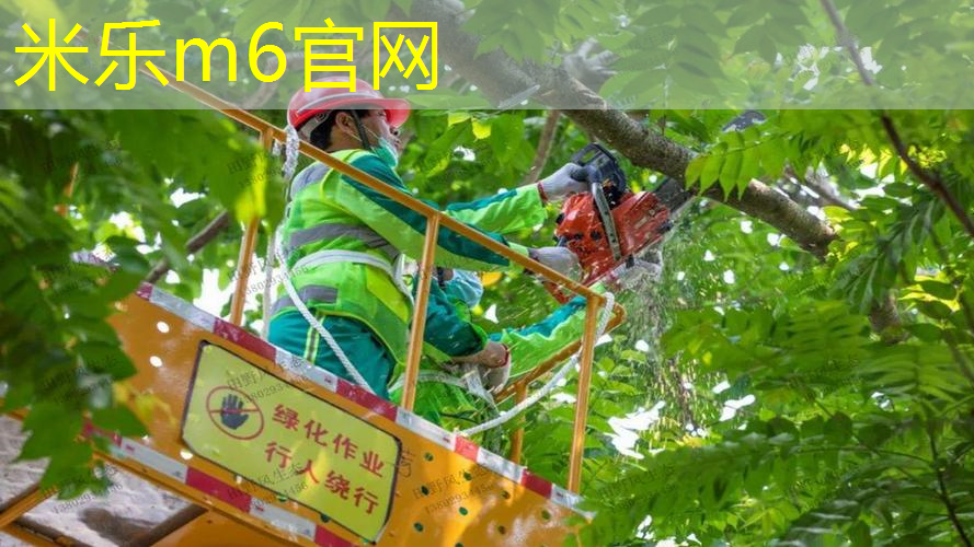 新网球拍怎么用教程教学