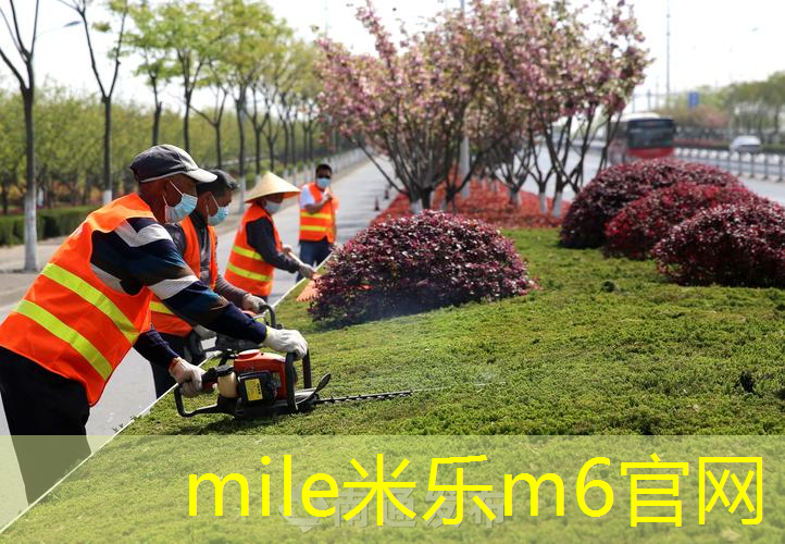 网球拍里出来一条鱼