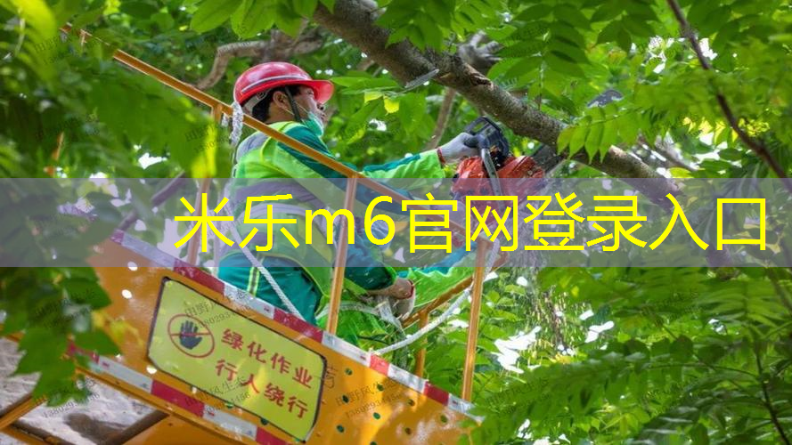 运动背包斜挎网球拍怎么用