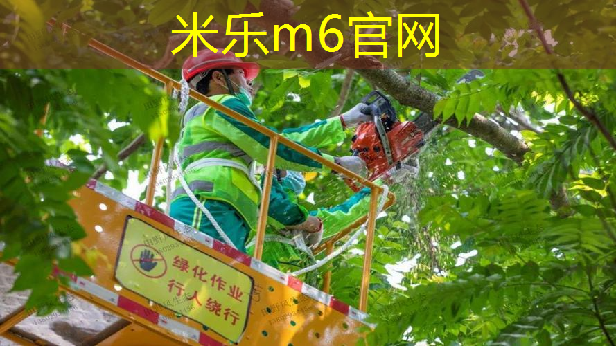 网球拍底胶多厚的最好