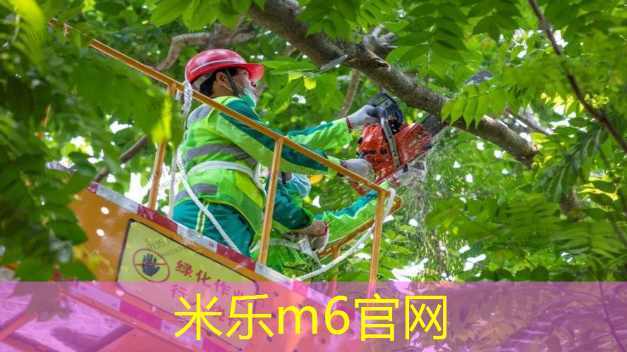 莎拉波娃网球拍老款