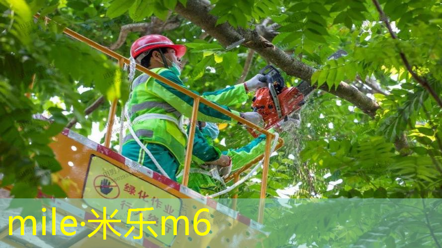 拼多多上乒乓球台好吗