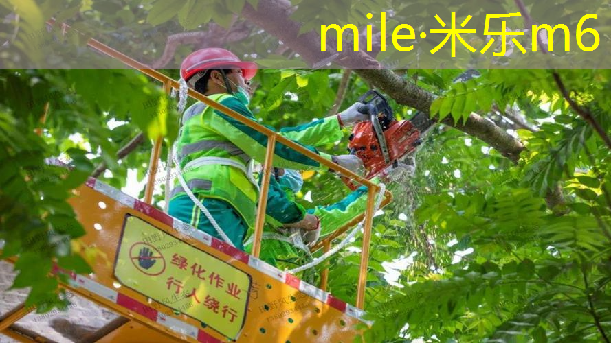 双杠训练与俯卧撑哪个更有效？