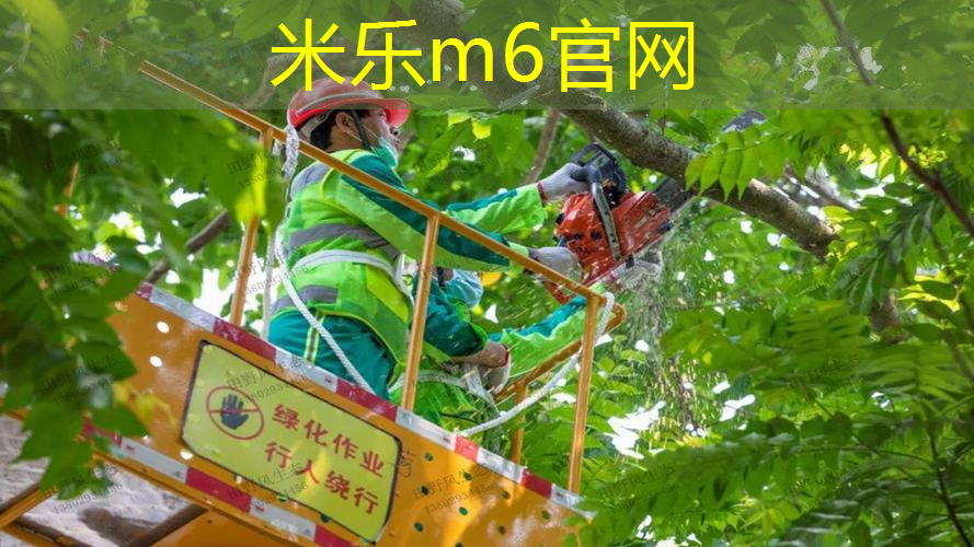 纵享篮球乐趣！选择篮球架顶棚，无需等待好天气