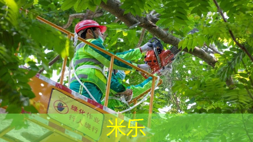 桂平市乒乓球台附近